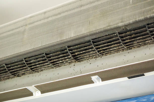 Best Local Air Duct Cleaning Services  in Tyndall, SD